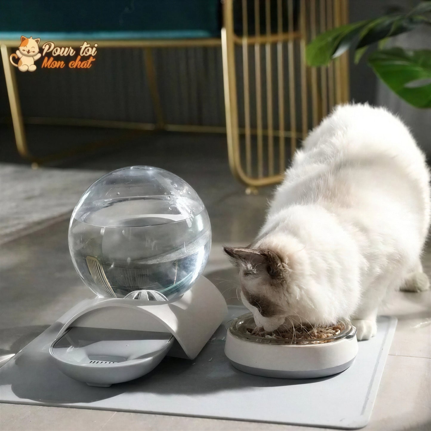 Fontaine à eau pour chat - Perfect Sphère Pour toi Mon chat