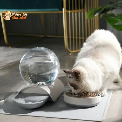 Fontaine à eau pour chat - Perfect Sphère Pour toi Mon chat