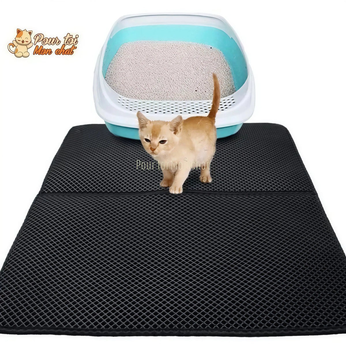 Tapis récupérateur de litière pour chat – Simple et Double-fond tapis litière Pour toi Mon chat