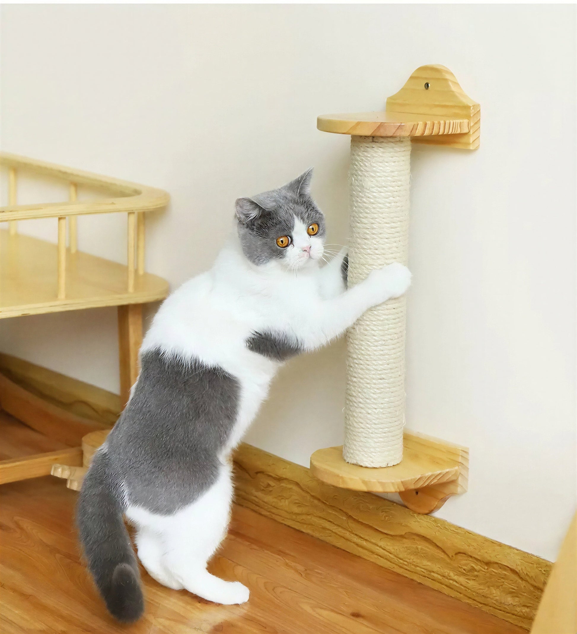 Arbre à gratter mural en sisal pour chats Pour toi Mon chat