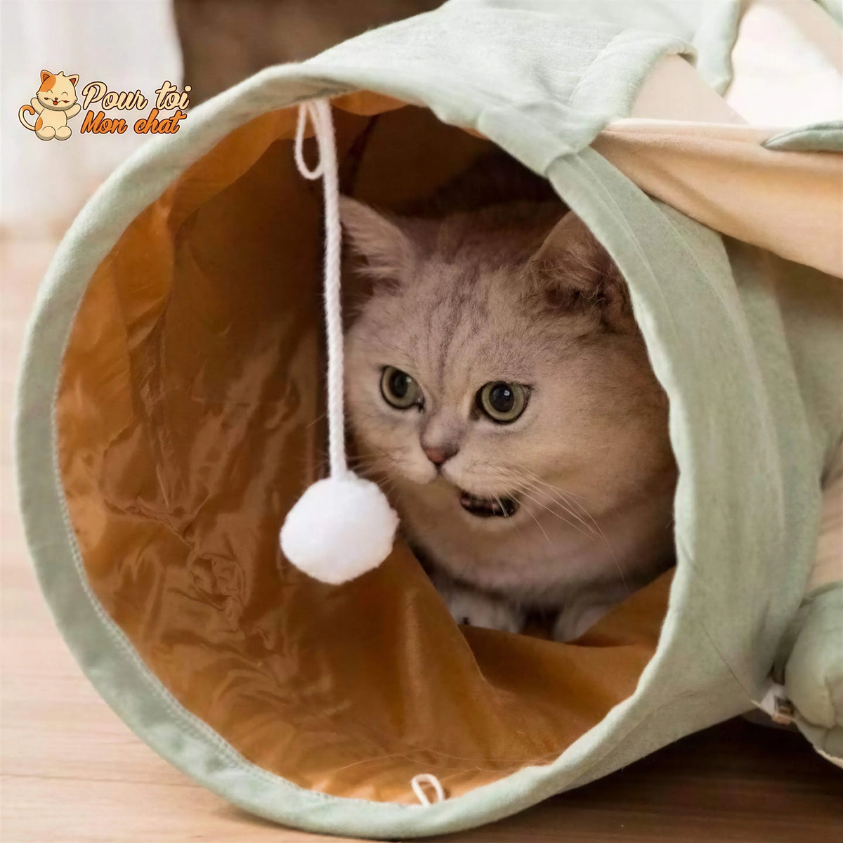 Tunnel de Jeu avec Coussin pour Chat - CoussiCat™ Pour toi Mon chat