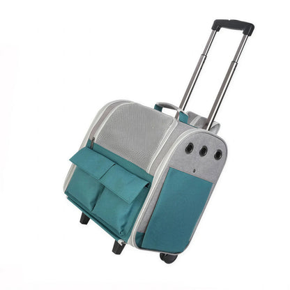 Sac de transport pliable pour chat Pour toi Mon chat