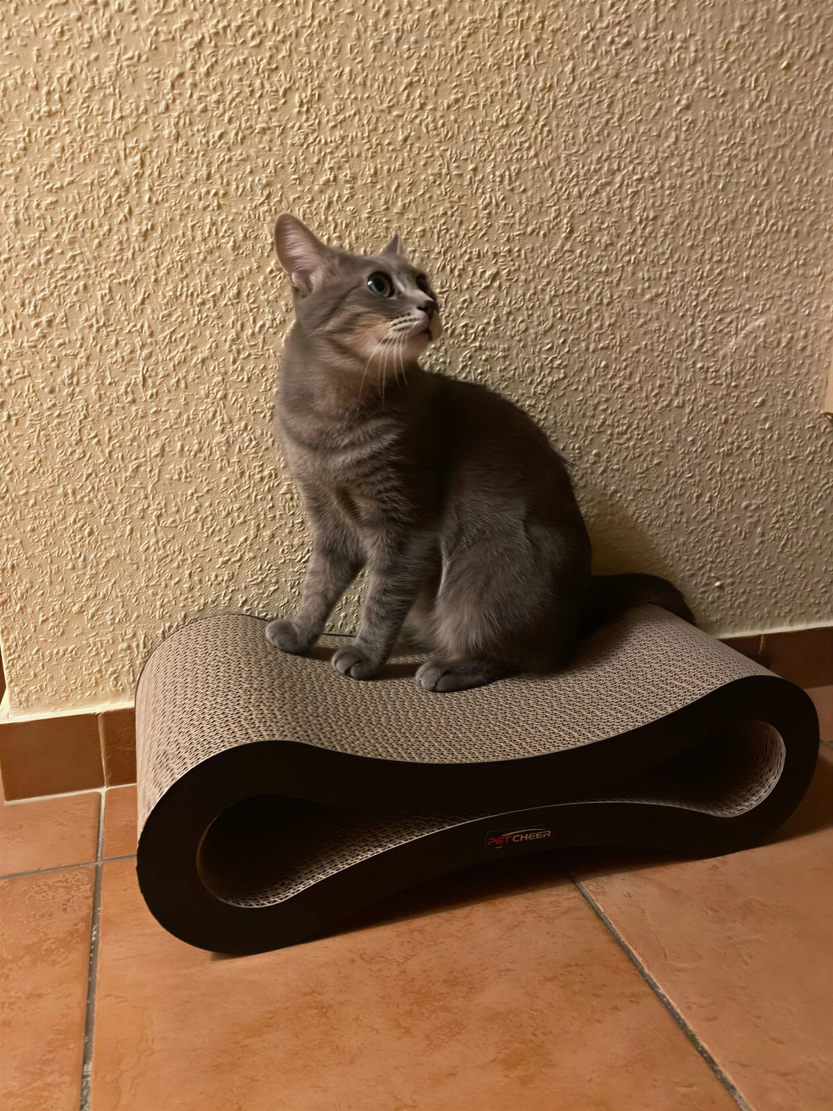 Lit à gratter pour chat en carton ondulé Pour toi Mon chat
