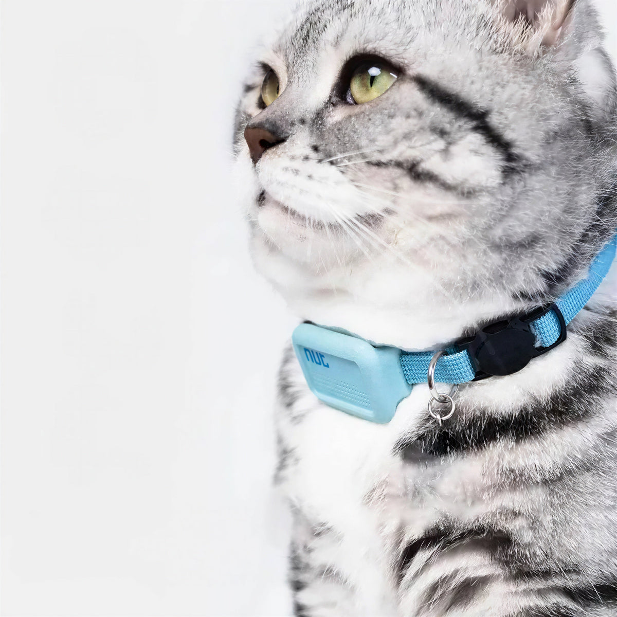Collier GPS Chat en Nylon avec une Clochette Pour toi Mon chat
