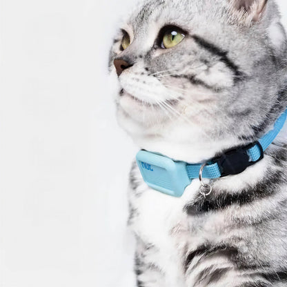 Collier GPS Chat en Nylon avec une Clochette Pour toi Mon chat
