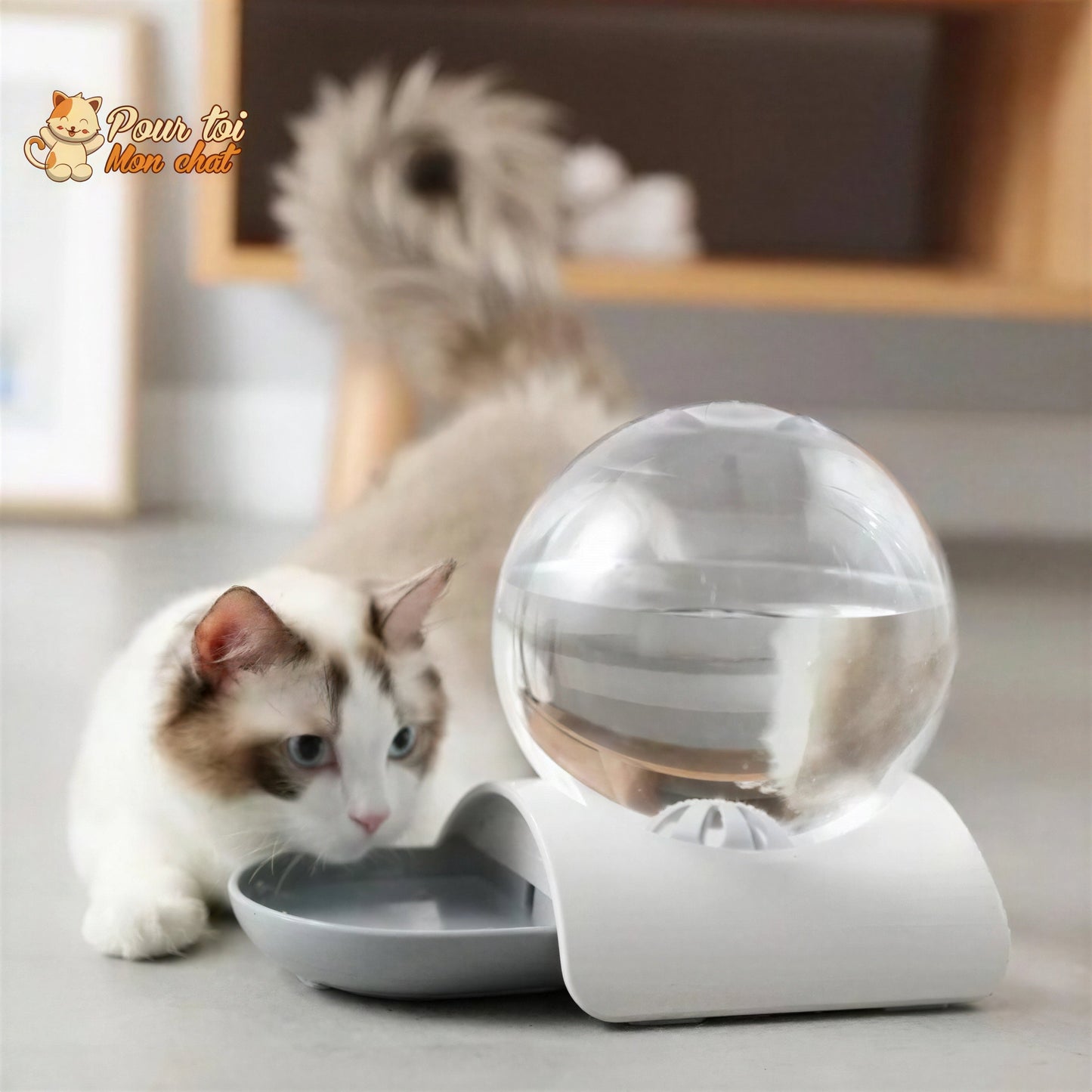 Fontaine à eau pour chat - Perfect Sphère Pour toi Mon chat