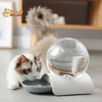 Fontaine à eau pour chat - Perfect Sphère Pour toi Mon chat