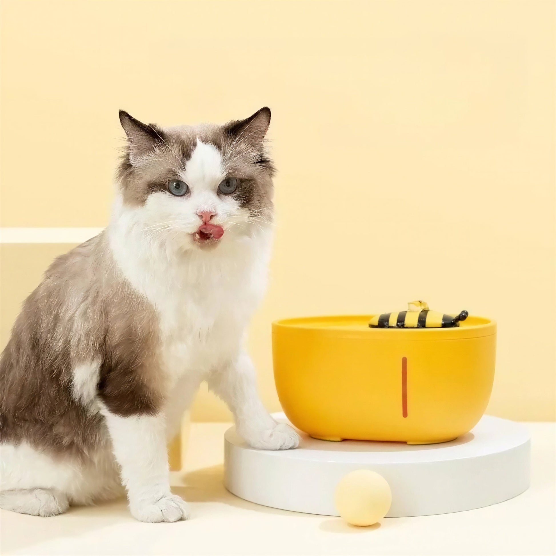 Distributeur Eau Chat Électrique Filtrant et Silencieux Pour toi Mon chat
