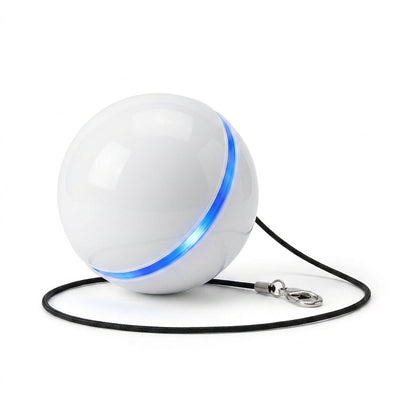 Balle Interactive pour Chat - RollChat™ Pour toi Mon chat