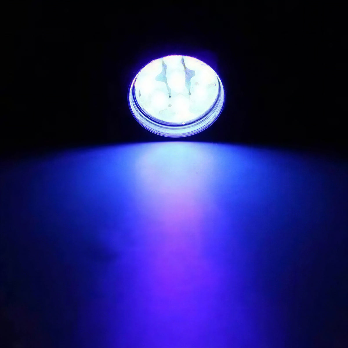 Lampe de poche LED pour inspecter les traces d'urine de chat - vue 4