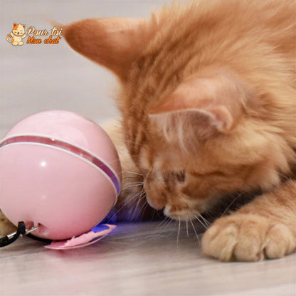 Balle Interactive pour Chat - RollChat™ Pour toi Mon chat