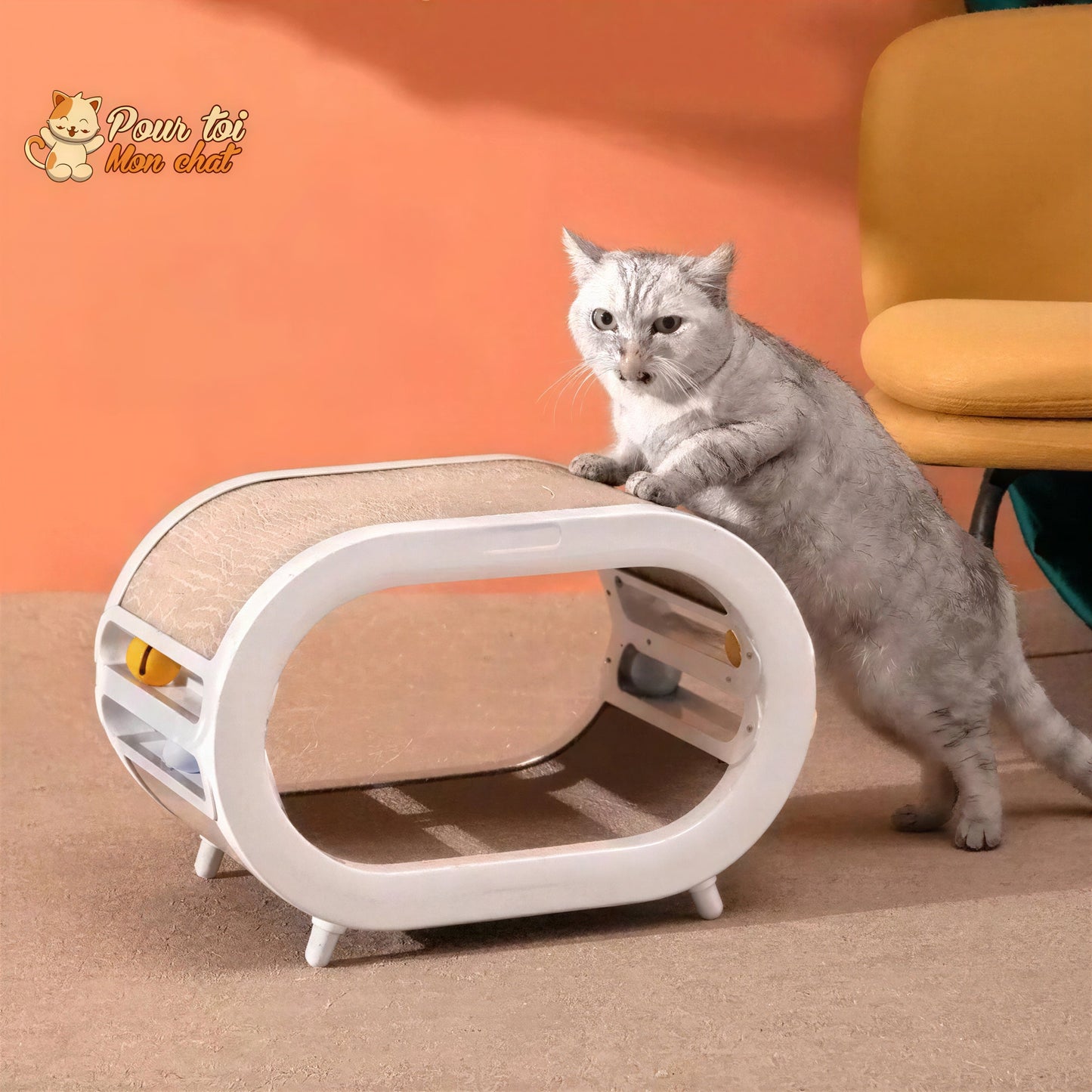 Griffoir ludique, design et spacieux pour chats Pour toi Mon chat