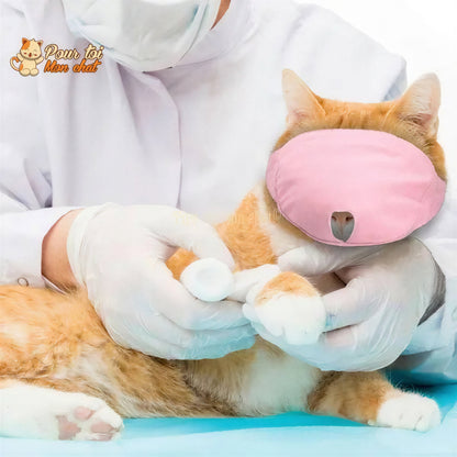 Muselière respirante en nylon - POUR CHAT – Masque4Cat™ Pour toi Mon chat