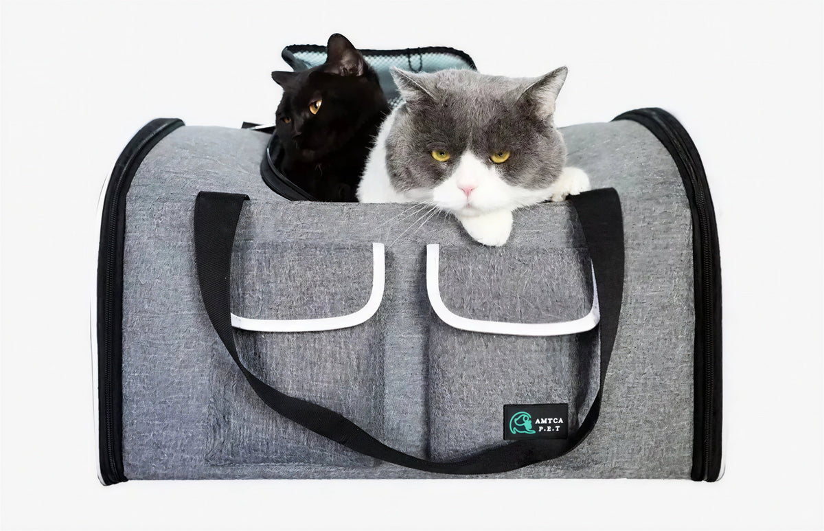 Sac de voyage portable à bandoulière pour chat Pour toi Mon chat
