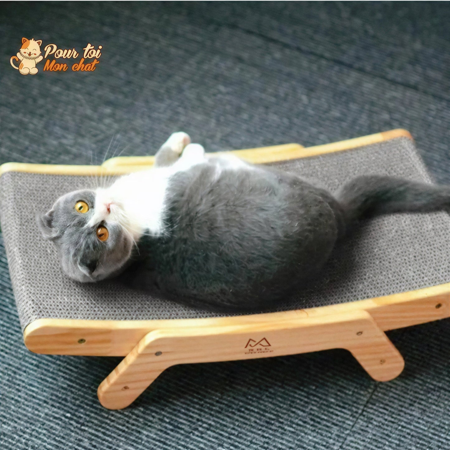 La planche à gratter 3 en 1 Griffoir, Lit, Jouet - pour Chat - Grat’Minou™ Pour toi Mon chat