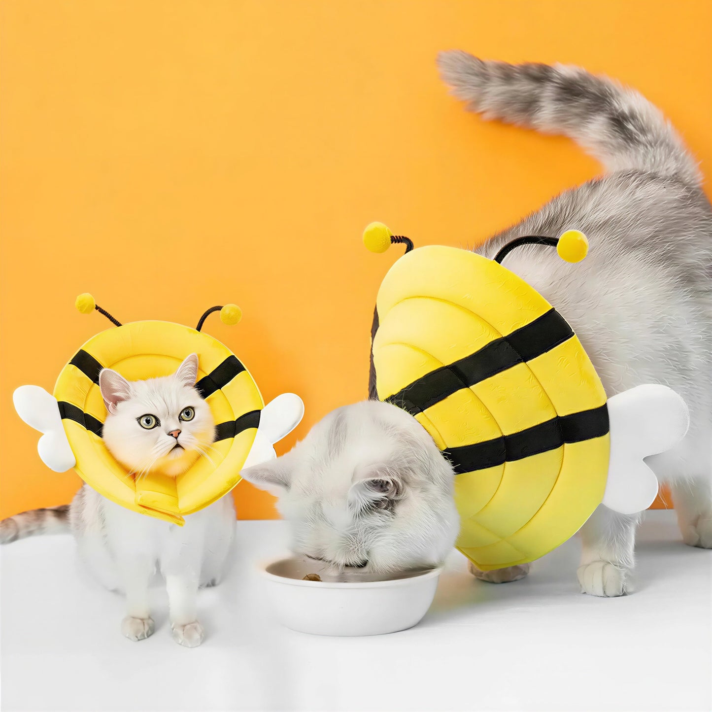 Collerette Fantaisie pour Chat Pour toi Mon chat