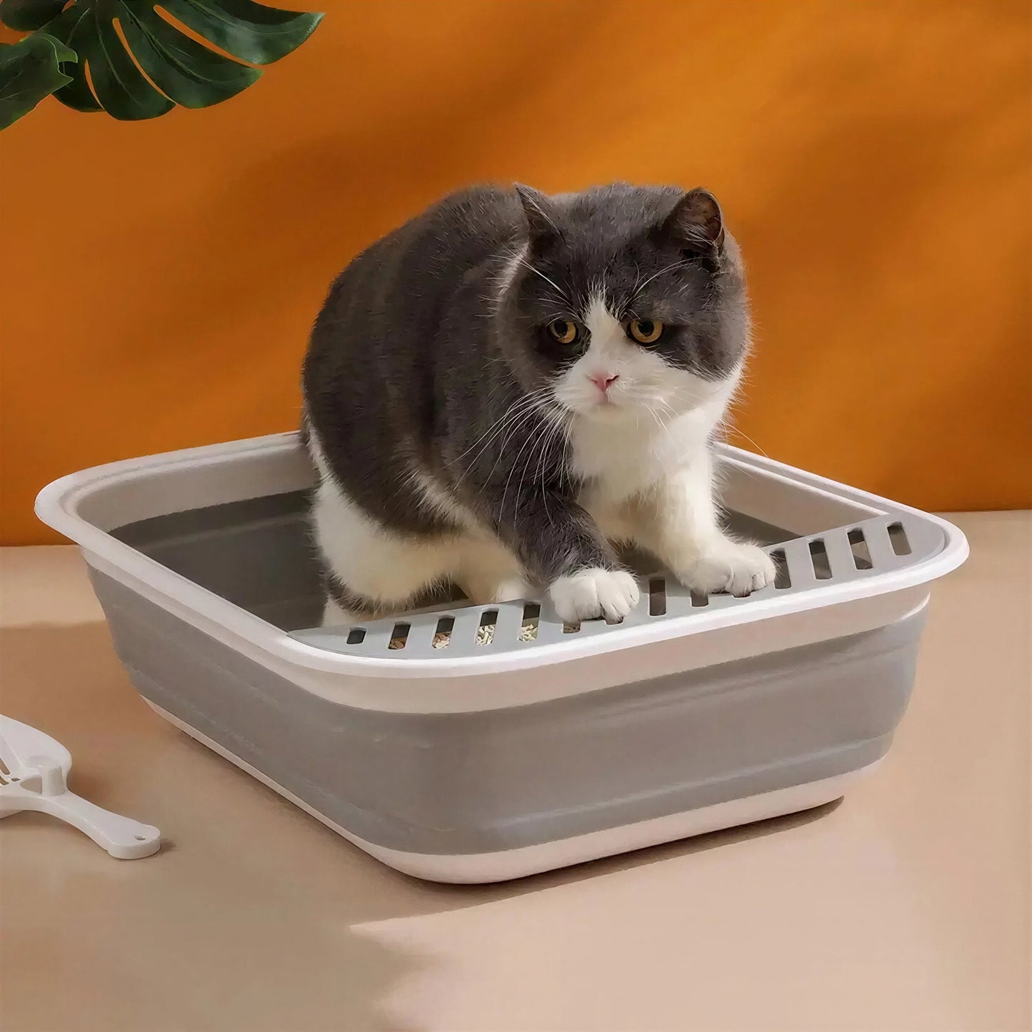 Litière Chaton Semi-Fermée avec Rebords Surélevés et Pliable Pour toi Mon chat