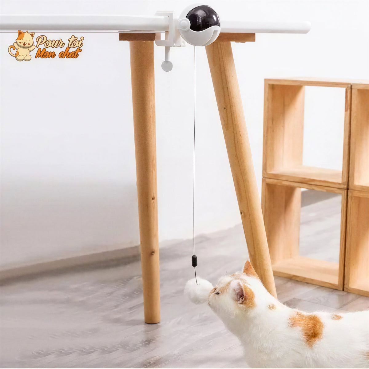 Balle Interactive pour chat - Attrap'Ball™ Pour toi Mon chat