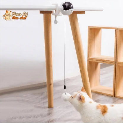Balle Interactive pour chat - Attrap'Ball™ Pour toi Mon chat