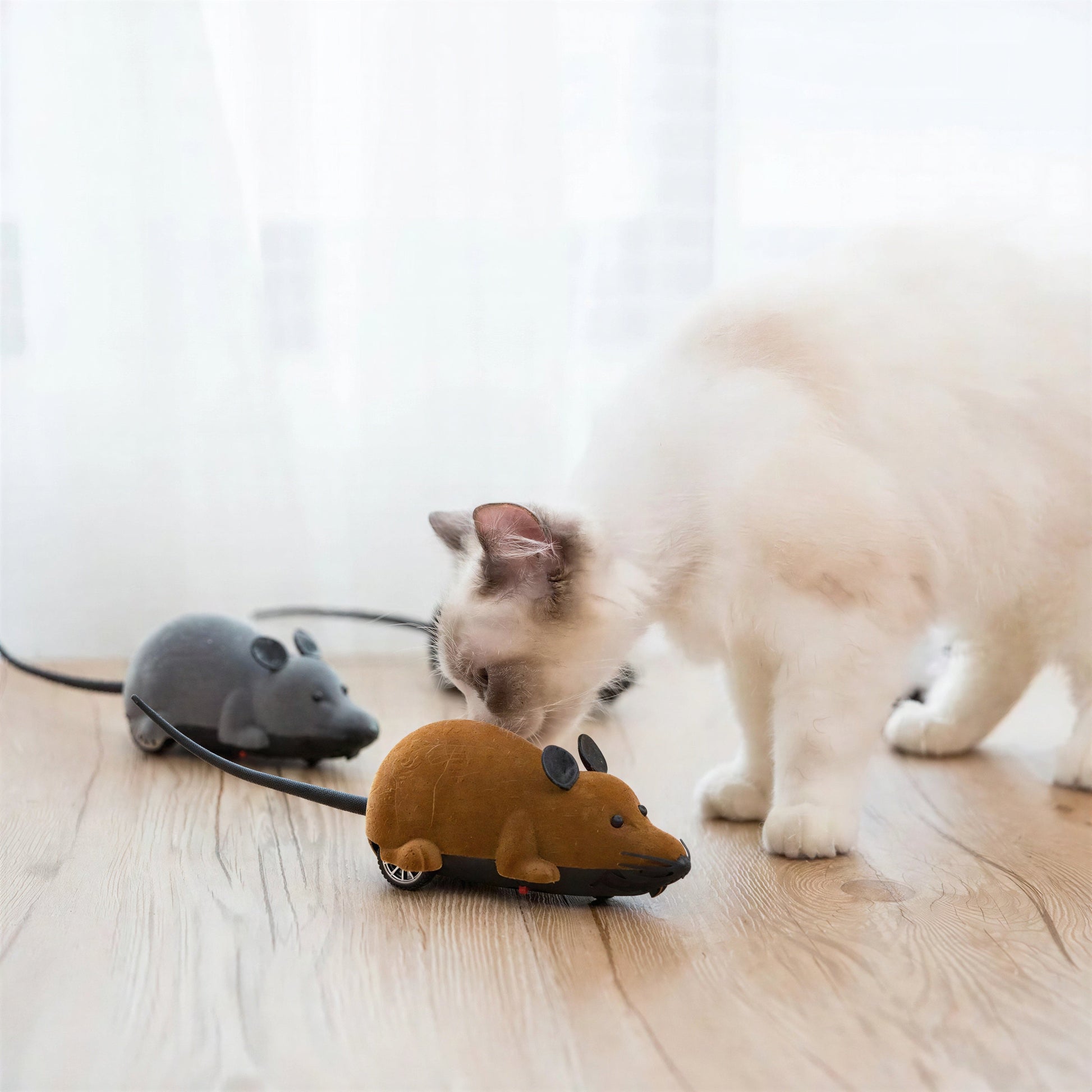 Souris électrique avec télécommande sans fil pour chat Pour toi Mon chat