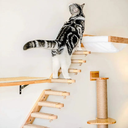 Escalier pour Chat à Fixer Contre un Mur Pour toi Mon chat