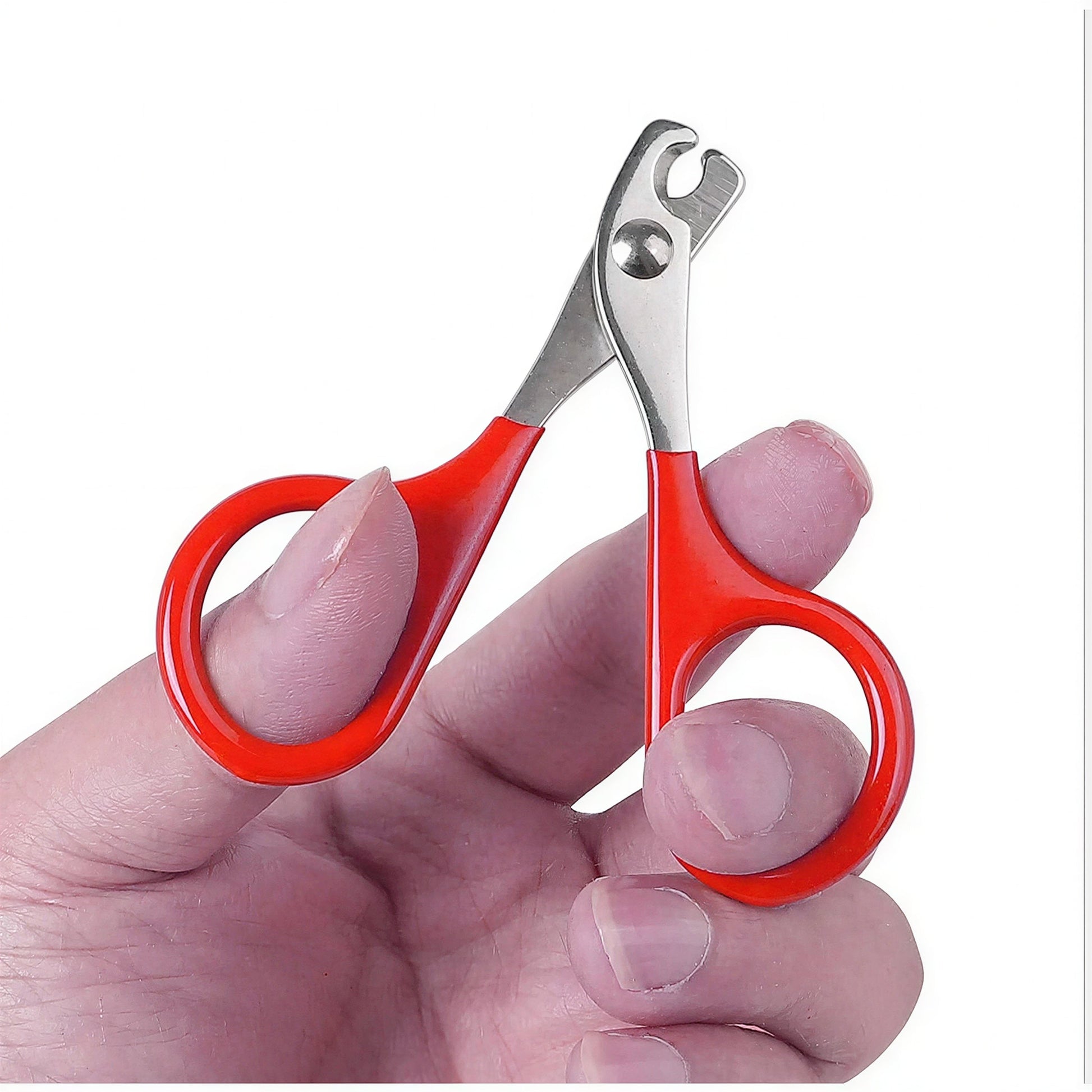 Coupe-ongles professionnel pour petit chaton Pour toi Mon chat