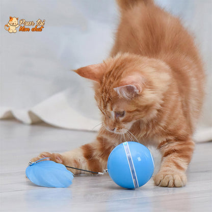 Balle Interactive pour Chat - RollChat™ Pour toi Mon chat