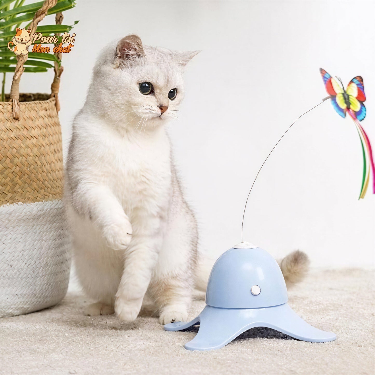 Jouet Papillon Volant pour Chat - Attrap'Papillon™ Pour toi Mon chat