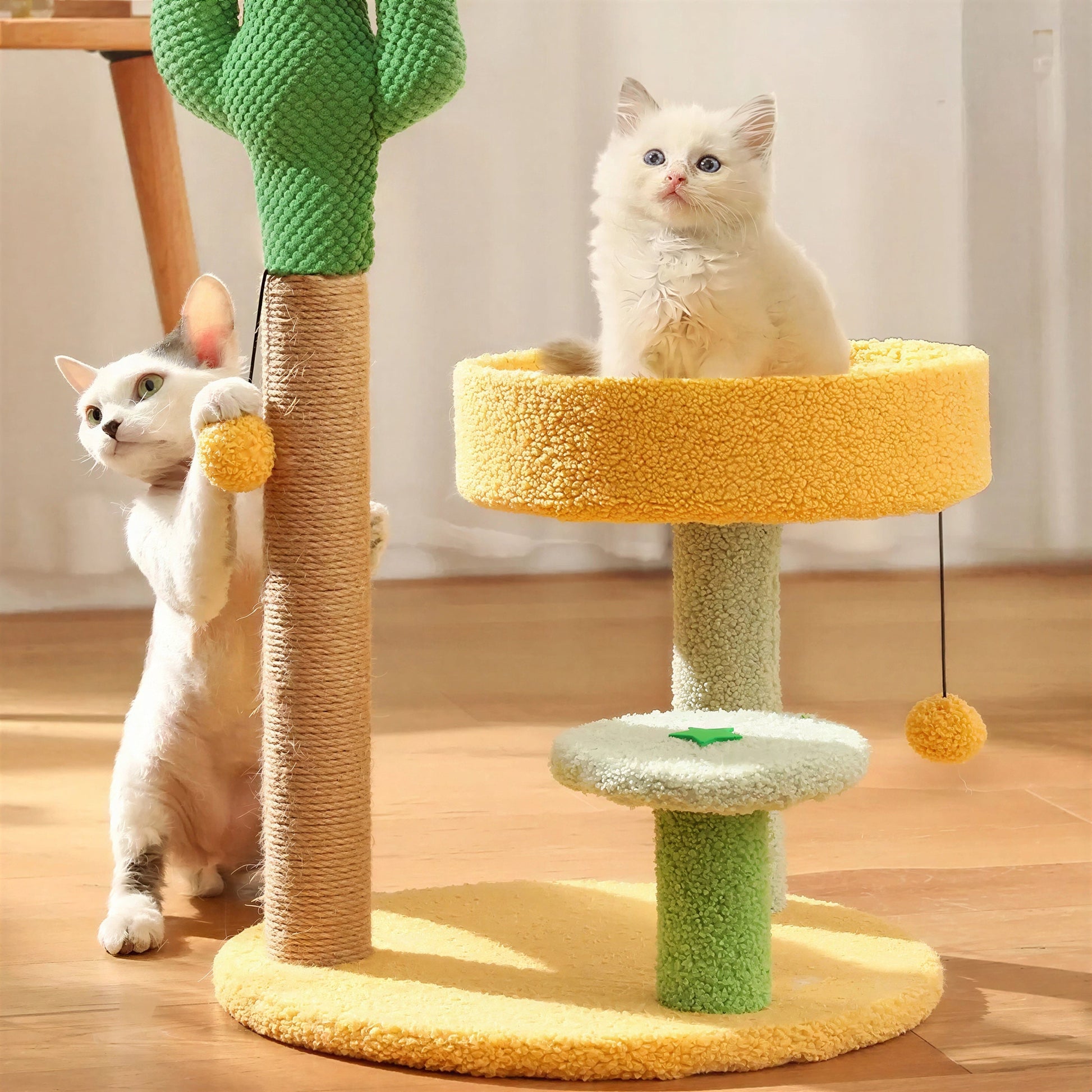 Planche à gratter à cactus pour chat Pour toi Mon chat