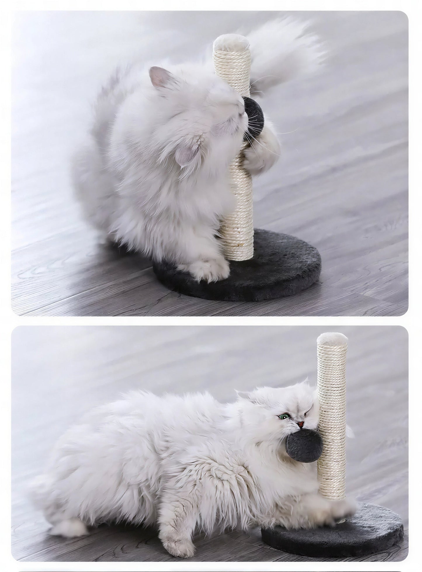 Tour de saut pour chat avec corde en sisal Pour toi Mon chat