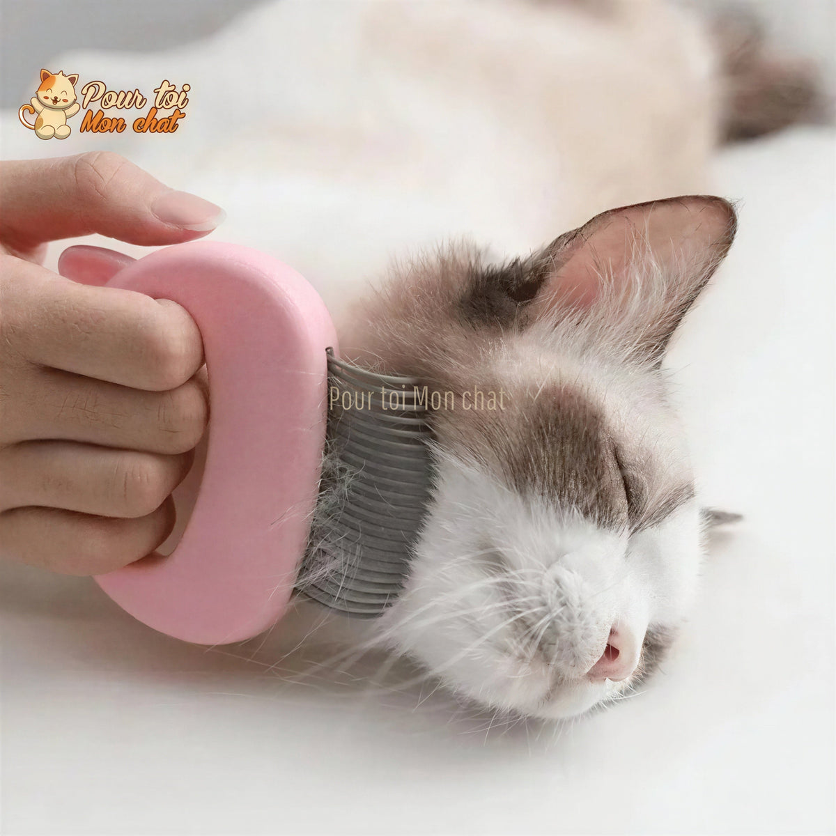 Peigne de toilettage et de massage pour chats – Grat’monChat™ Pour toi Mon chat