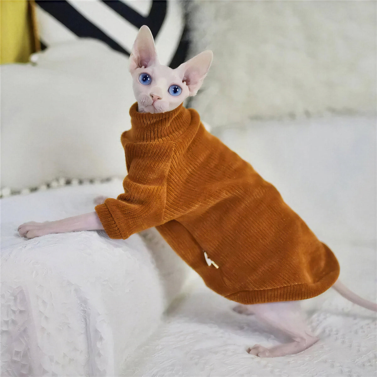 Pull Chat Élégant et Confortable Pour toi Mon chat