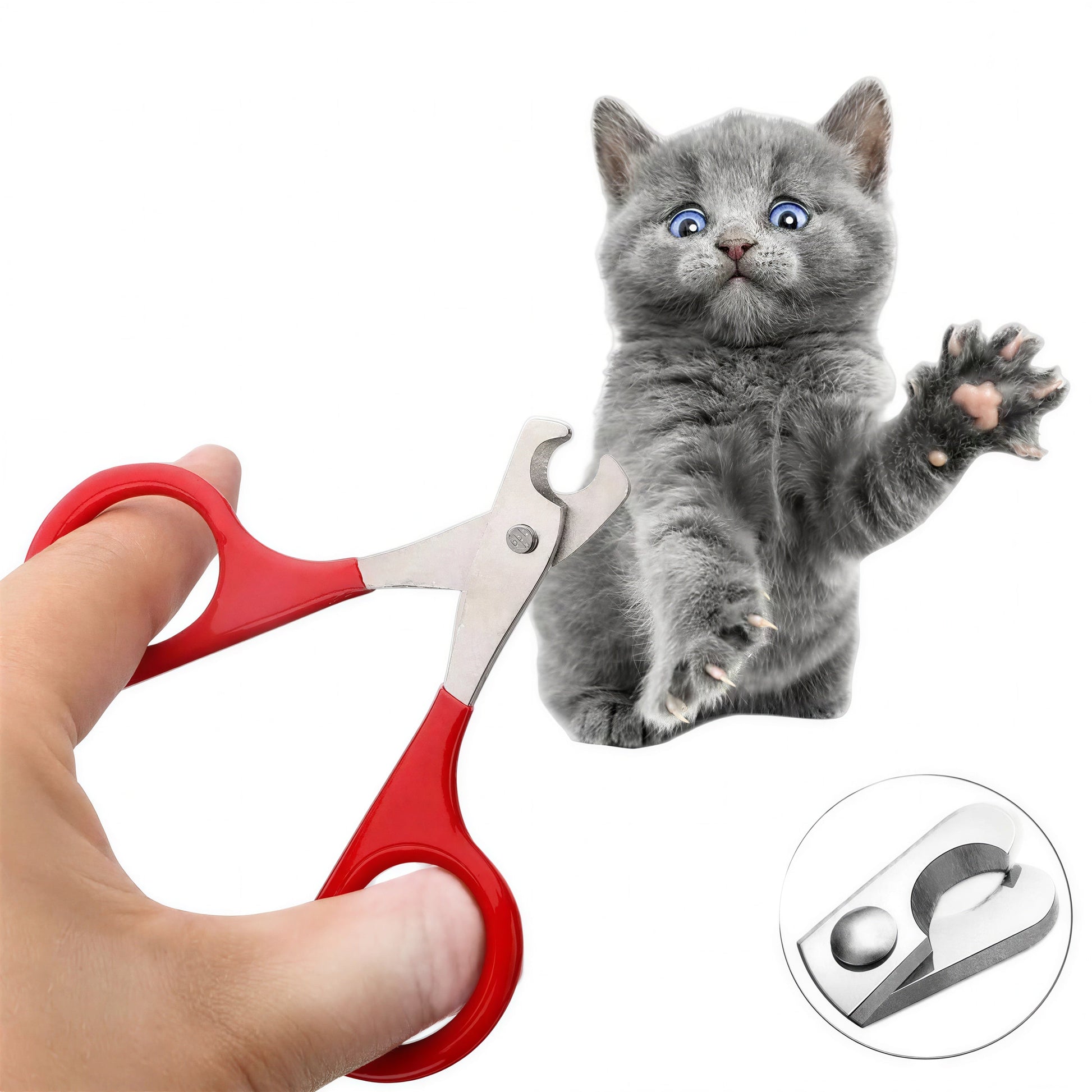 Coupe-ongles professionnel pour petit chaton Pour toi Mon chat