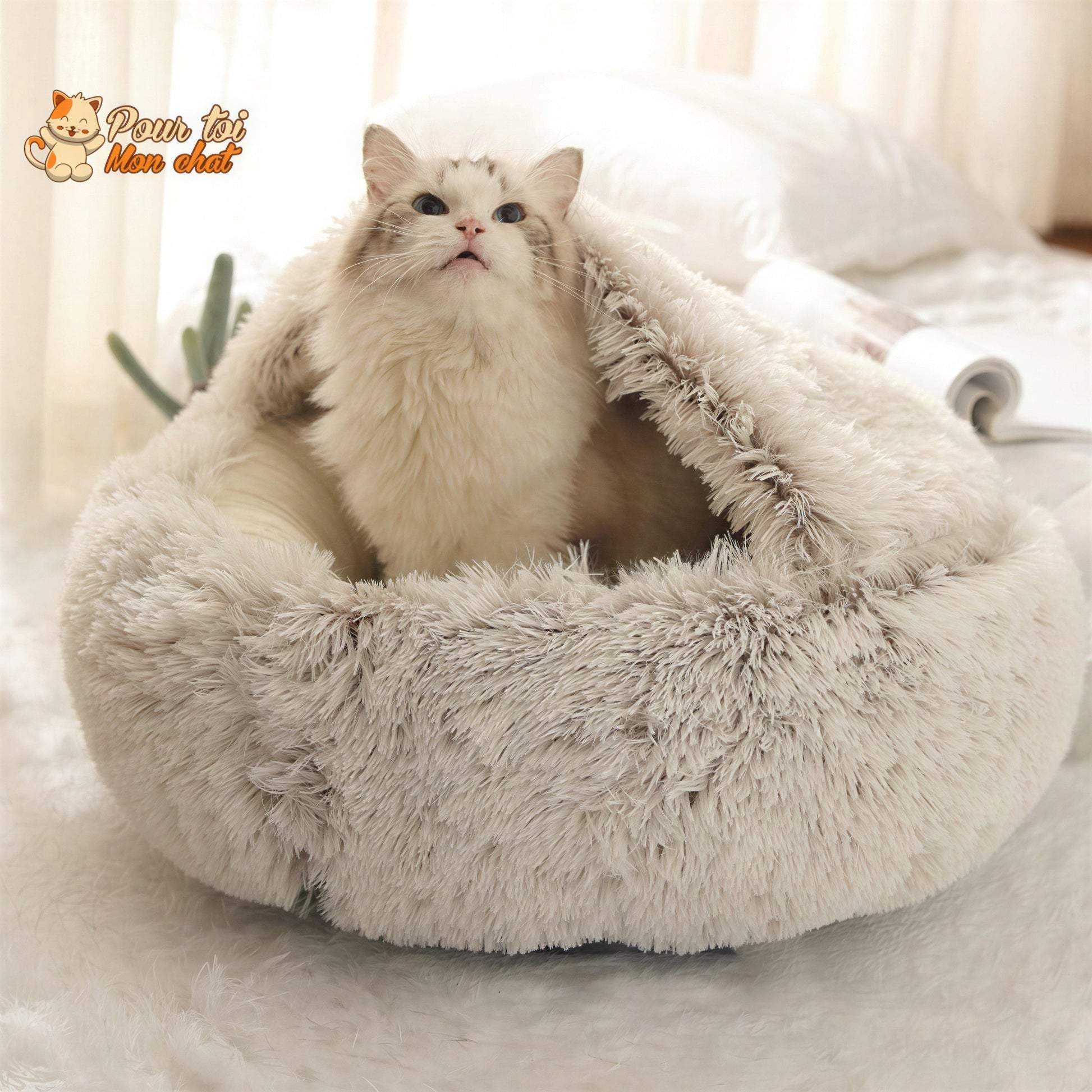 Coussin Moelleux - Niddouillet™ Pour toi Mon chat