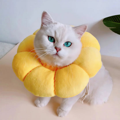 Collerette pour Chat en Forme de Fleur Pour toi Mon chat