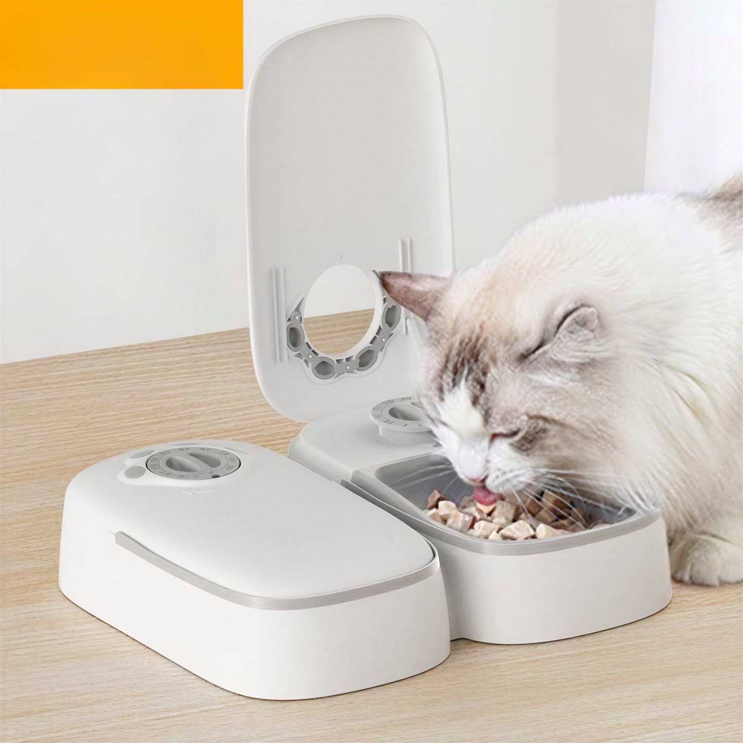 Mangeoire automatique grise pour chat - vue 2