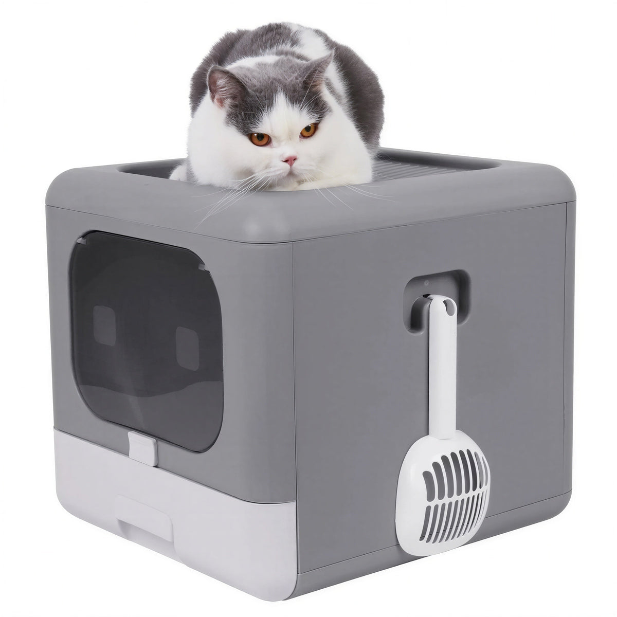Bac à litière pliable pour chat Pour toi Mon chat