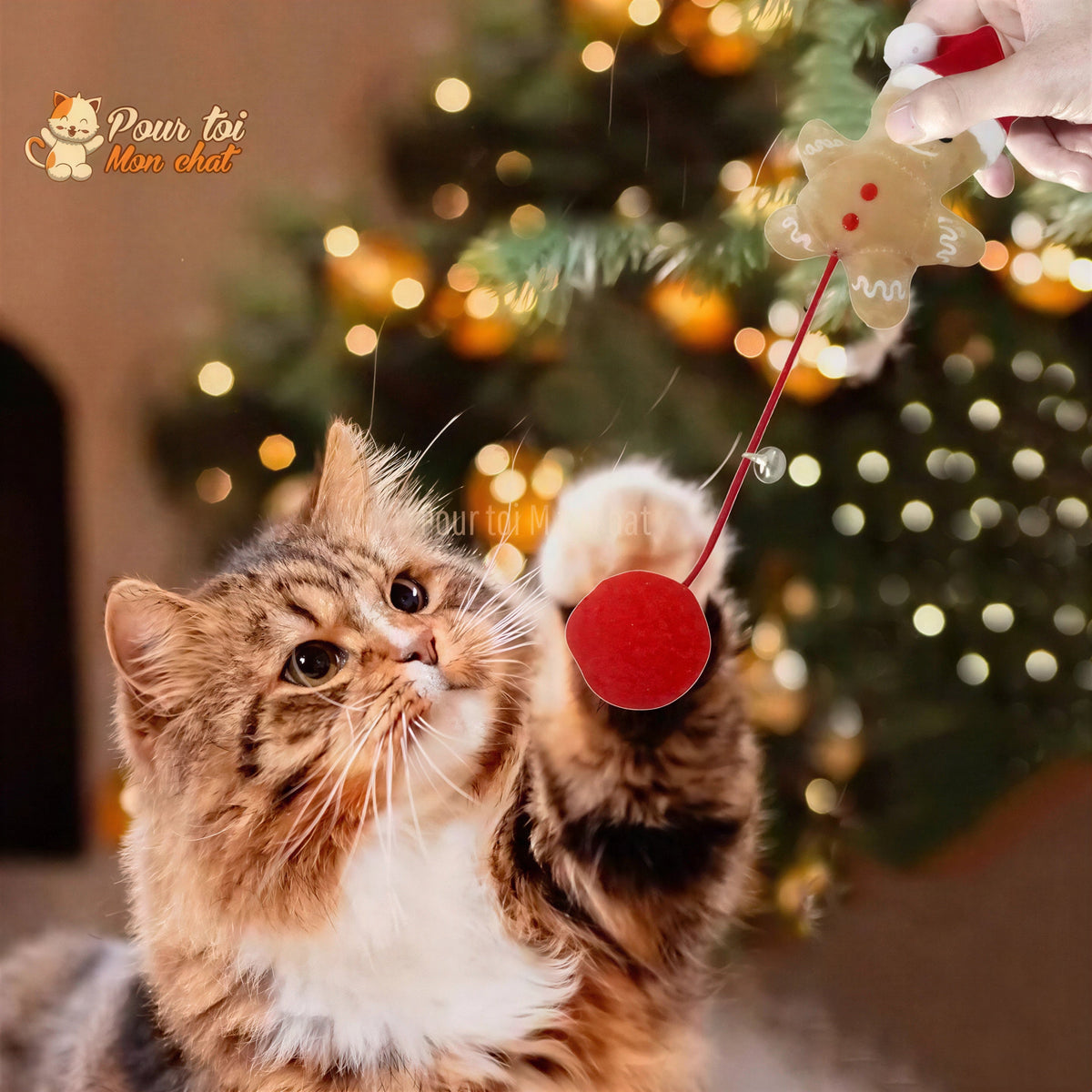 Noël Jouets en Peluche, fourrure, boule, cloche, poupées - Pour Chat - PomponNoëlChat™ Pour toi Mon chat