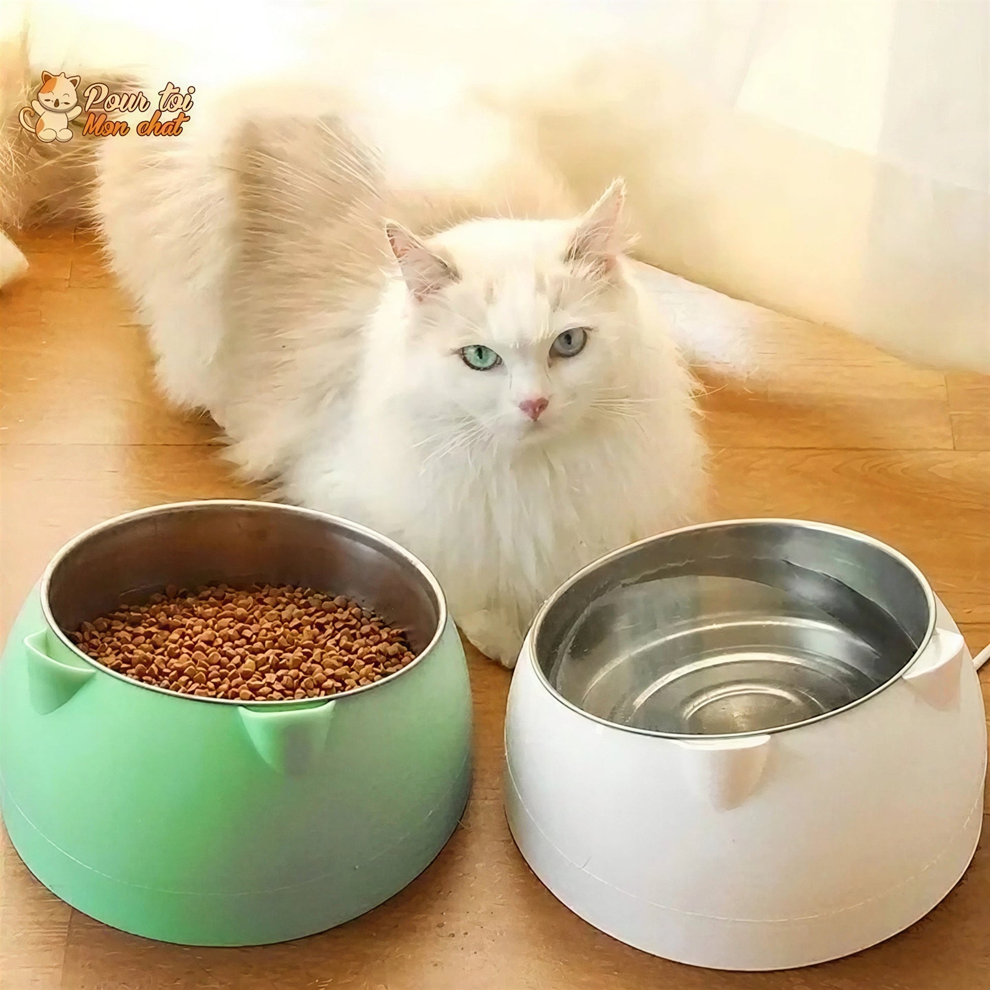 Gamelle Inclinée pour Chat - KittyBowl™ Pour toi Mon chat