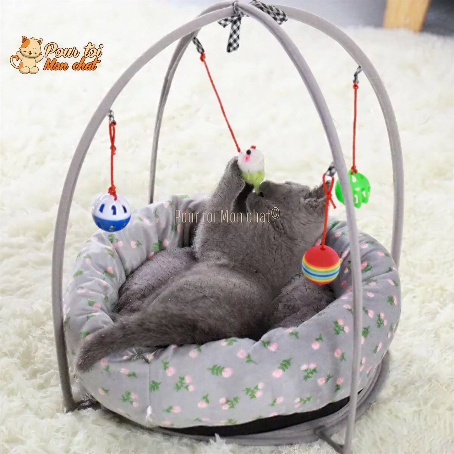PANIER DE JEU LUDIQUE ET CONFORTABLE POUR CHAT - ARC4CAT™ Pour toi Mon chat