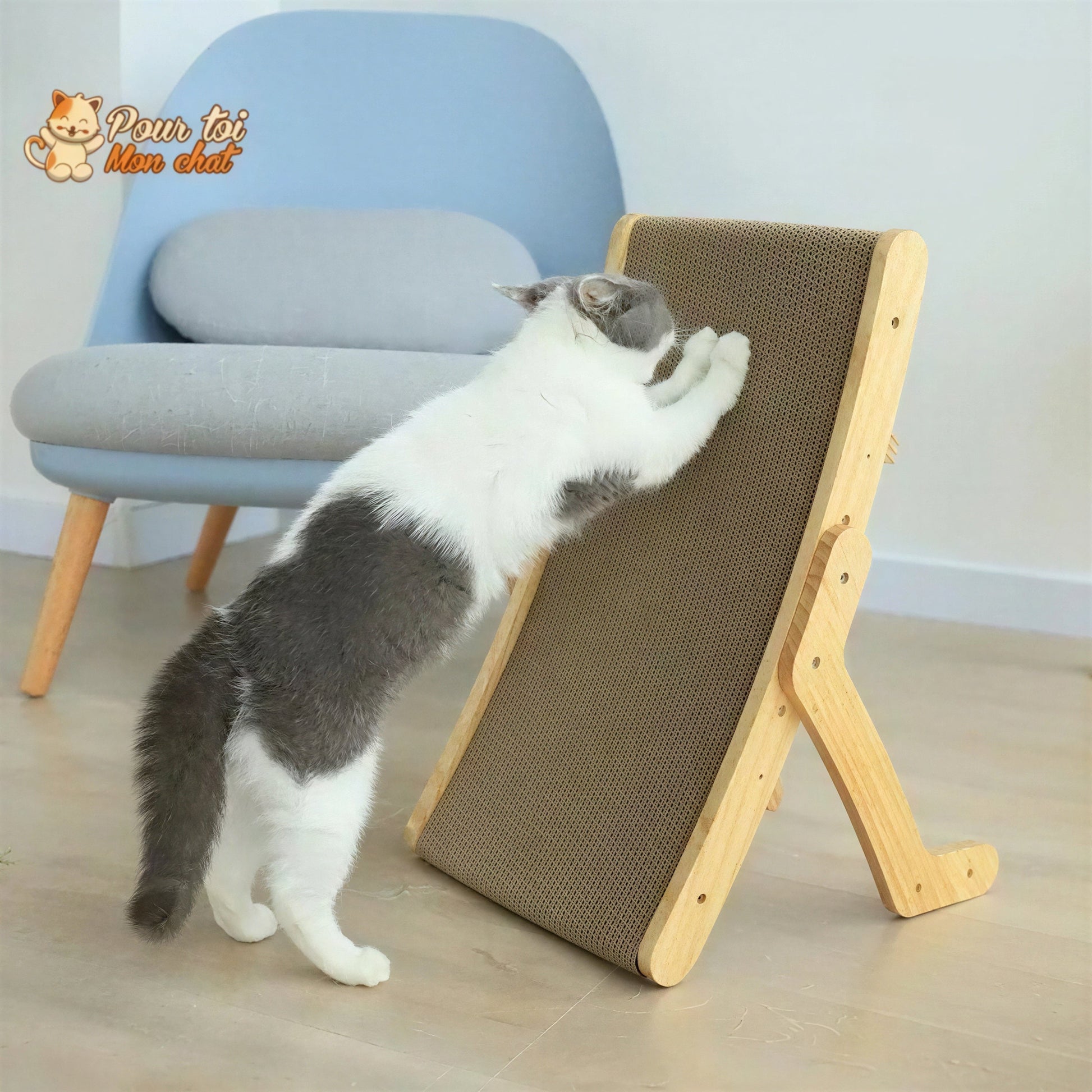 La planche à gratter 3 en 1 Griffoir, Lit, Jouet - pour Chat - Grat’Minou™ Pour toi Mon chat