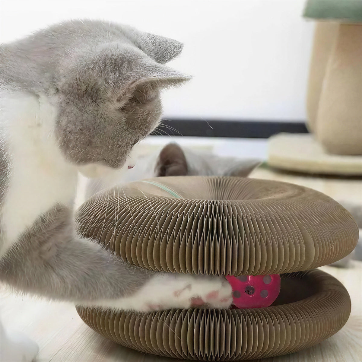Griffoir Chat - Jouet pour Chat en Carton Ondulé avec Balle Pour toi Mon chat