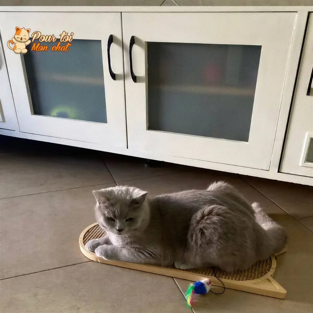 Grattoir mural en sisal pour chat - vue 11