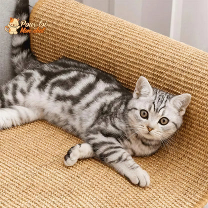 Tapis grattoir pour chats couvre meubles Pour toi Mon chat
