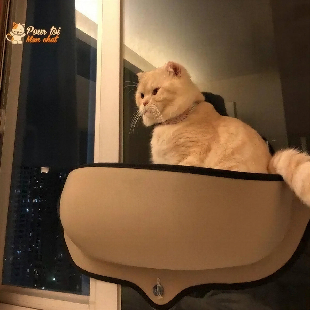 Lit suspendu à ventouses pour chat - Hamac-Fenêtre-Chat™ Pour toi Mon chat