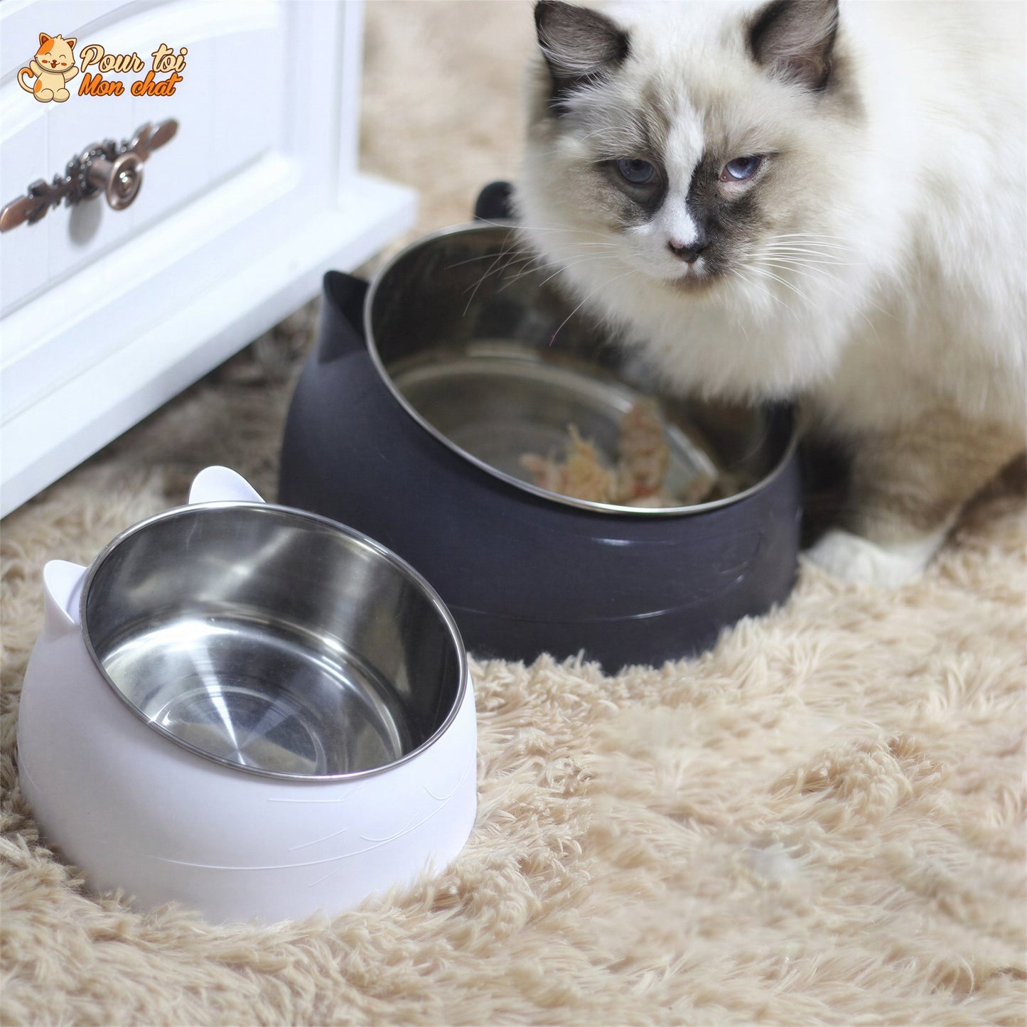 Gamelle Inclinée pour Chat - KittyBowl™ Pour toi Mon chat