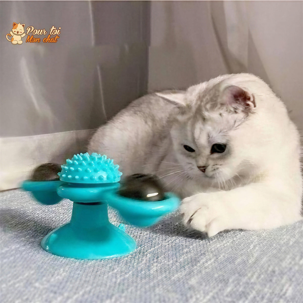 Jeu Mobile Tournant - Toupie'Cat™ Pour toi Mon chat