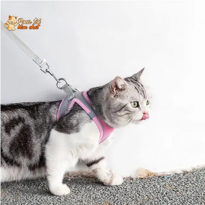 Ensemble de laisse et maille réglable pour chat Pour toi Mon chat
