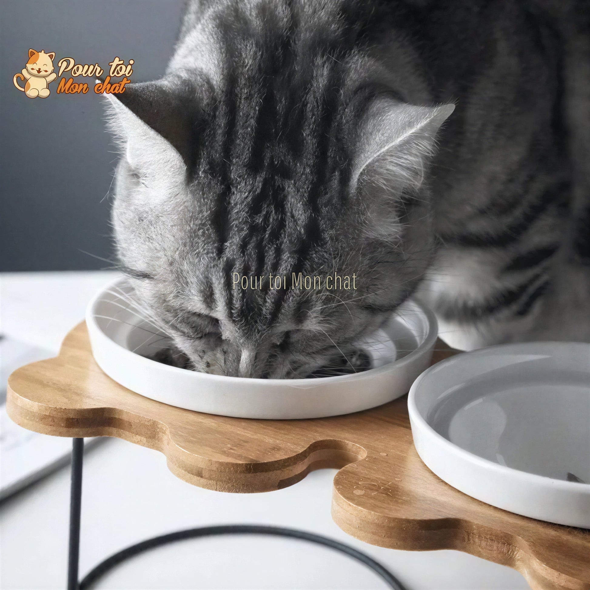 Bols d’alimentation et de boisson en céramique pour chats - MonChatBol™ Pour toi Mon chat
