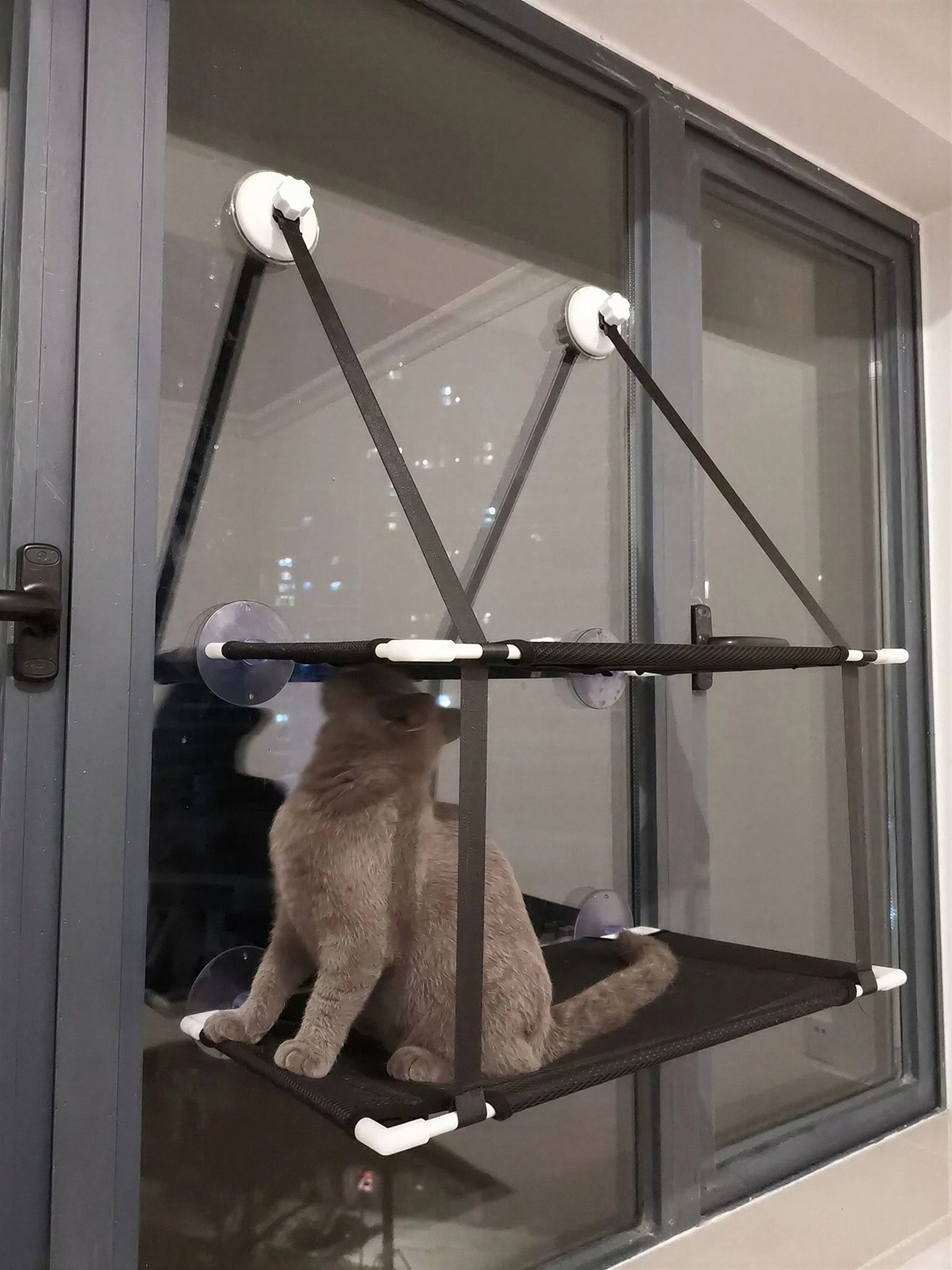 Hamac à fenêtre suspendue pour chaton Pour toi Mon chat
